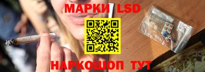 PSILOCYBIN Заволжье