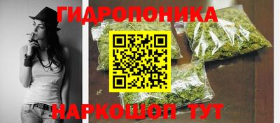 PSILOCYBIN Заволжье