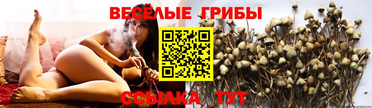 Псилоцибиновые грибы Psilocybine cubensis  хочу наркоту  Вход с VPN  Набережные Челны  Галлюциногенные грибы Cubensis 